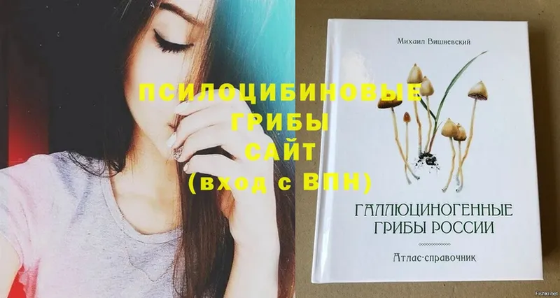 shop клад  Байкальск  Галлюциногенные грибы мицелий 